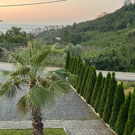 Sea And Natural Adalet Suits *