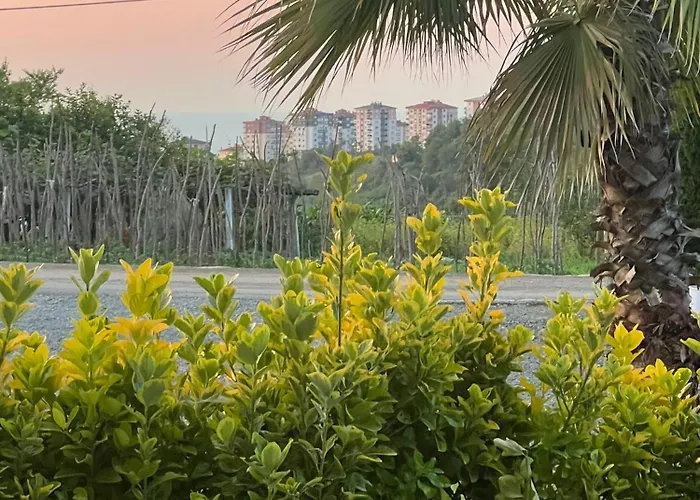 Дом отдыха Sea And Natural Adalet Suits *