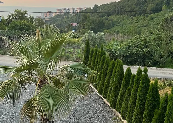 Sea And Natural Adalet Suits *